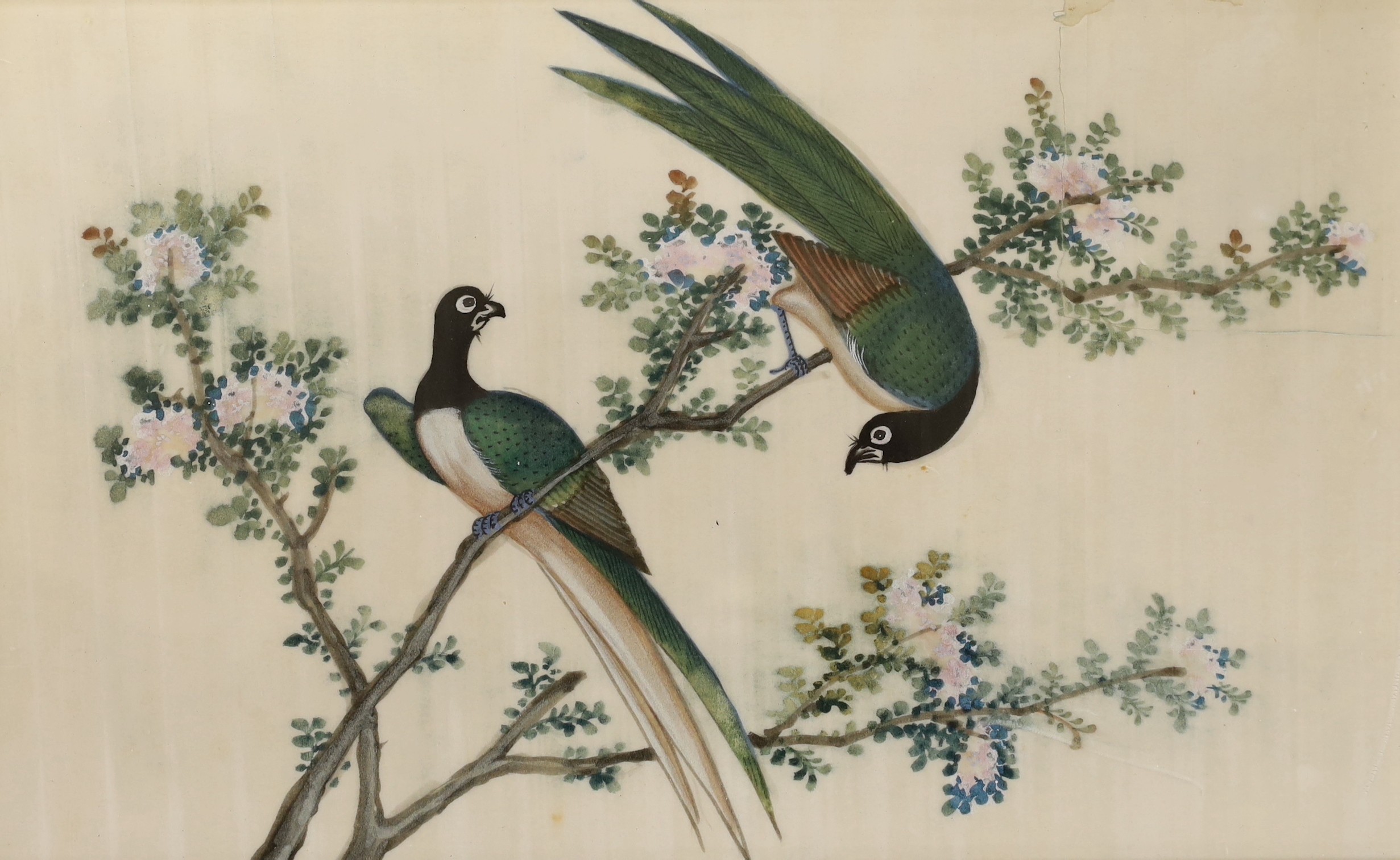 19th Century Chinese School, two gouaches on pith paper, studies of birds, 19 x 30cm